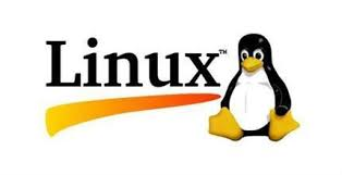 linux系列